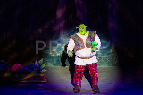 20230325_MG_3608-Shrek-7D