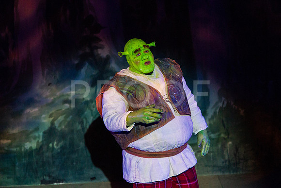 20230325_MG_3603-Shrek-7D