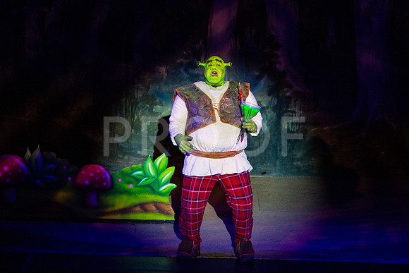 20230325_MG_3609-Shrek-7D