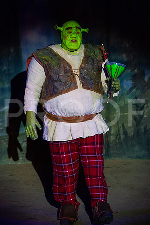 20230325_MG_3605-Shrek-7D