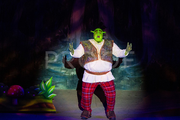 20230325_MG_3611-Shrek-7D