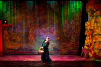 20230327_MG_3693-Shrek-7D