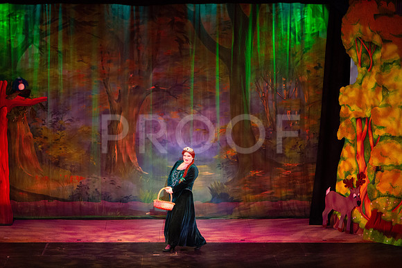 20230327_MG_3693-Shrek-7D