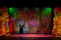20230327_MG_3695-Shrek-7D