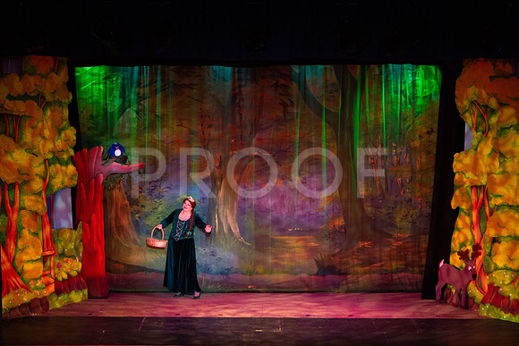20230327_MG_3695-Shrek-7D