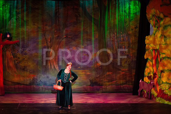 20230327_MG_3694-Shrek-7D