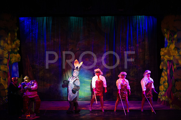 20230327_MG_3708-Shrek-7D