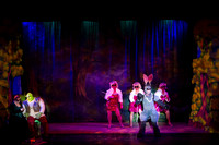 20230327_MG_3709-Shrek-7D