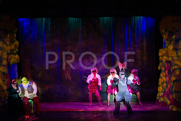 20230327_MG_3709-Shrek-7D