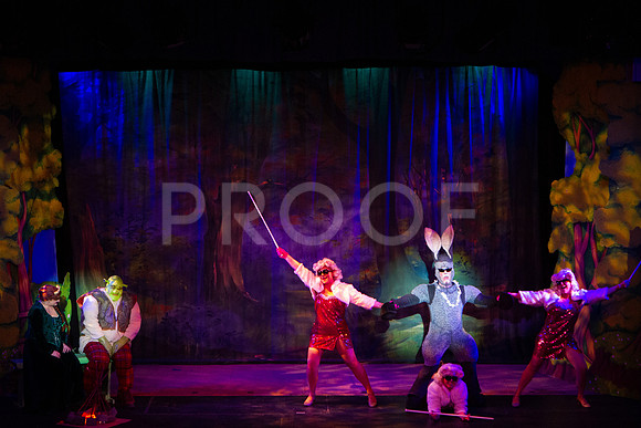 20230327_MG_3710-Shrek-7D