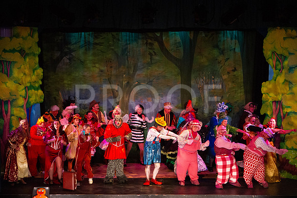 20230327_MG_3719-Shrek-7D