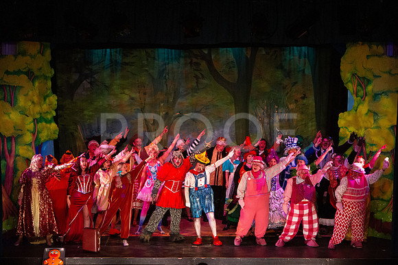 20230327_MG_3723-Shrek-7D