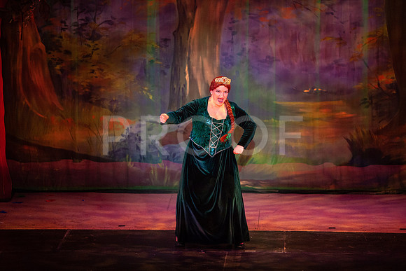 20230327_MG_3991-Shrek-5D
