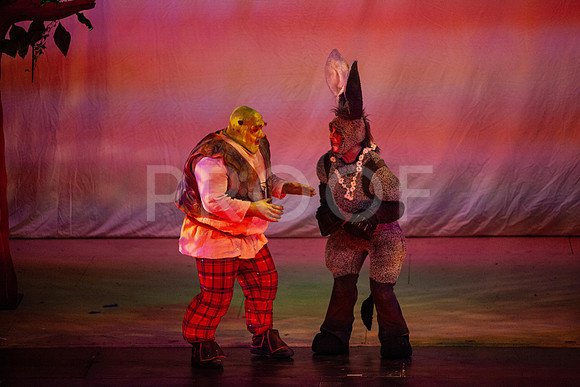 20230327_MG_3997-Shrek-5D