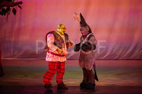 20230327_MG_3998-Shrek-5D