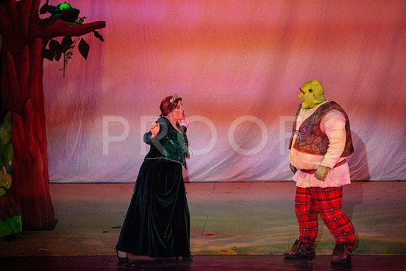 20230327_MG_4003-Shrek-5D