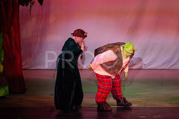 20230327_MG_4006-Shrek-5D