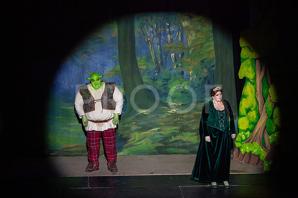 20230327_MG_4013-Shrek-5D