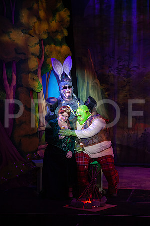 20230327_MG_4015-Shrek-5D