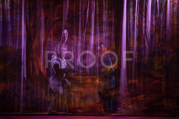 20230327_MG_4019-Shrek-5D