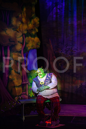 20230327_MG_4020-Shrek-5D