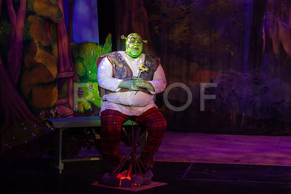 20230327_MG_4021-Shrek-5D