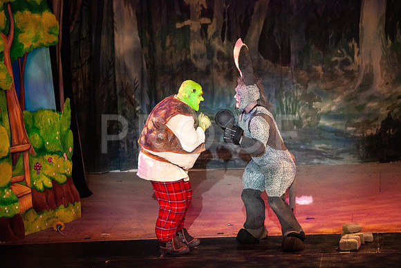 20230327_MG_4039-Shrek-5D