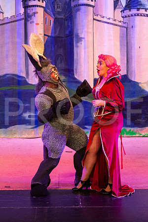 20230325_MG_3543-Shrek-7D