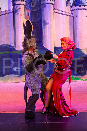 20230325_MG_3544-Shrek-7D