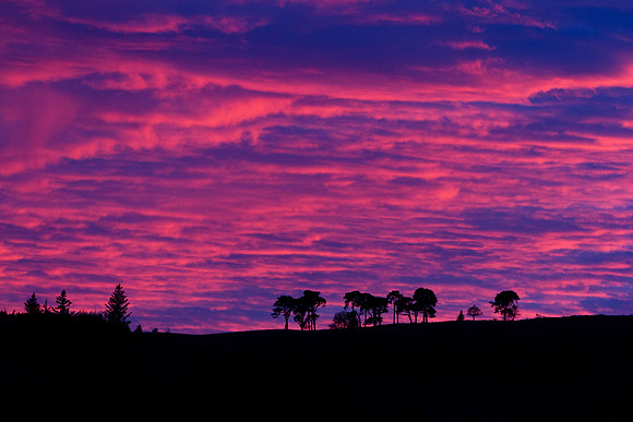 Insananity over the Hill_0024-7D