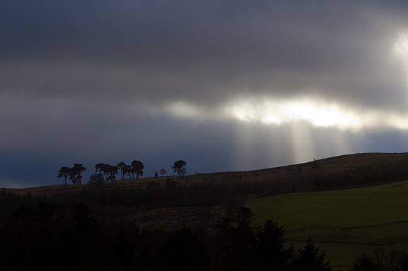 Strolling Sunbeams_0002-7D