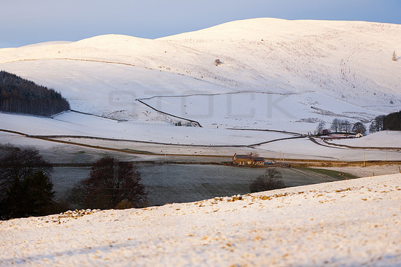 April Snow-0382
