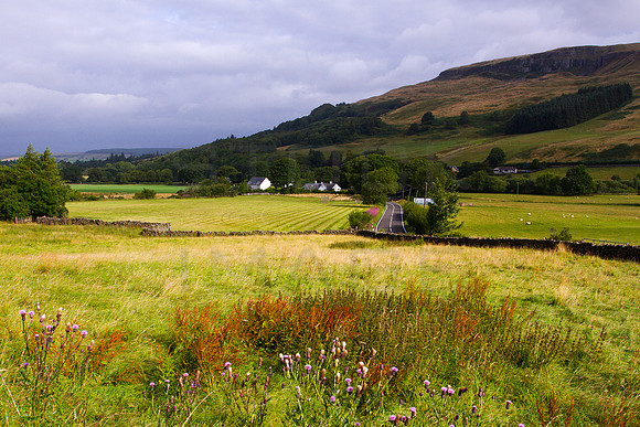 On the Road to Fintry_2209
