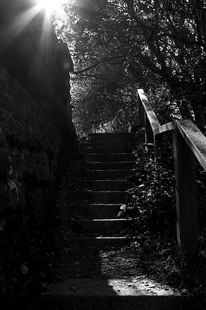The Forgotten Way_2102