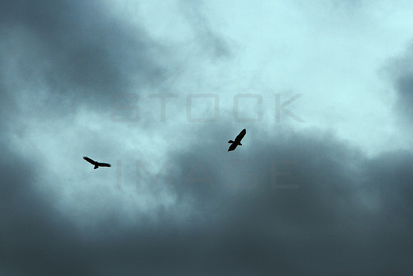 Up above the World so High_0302