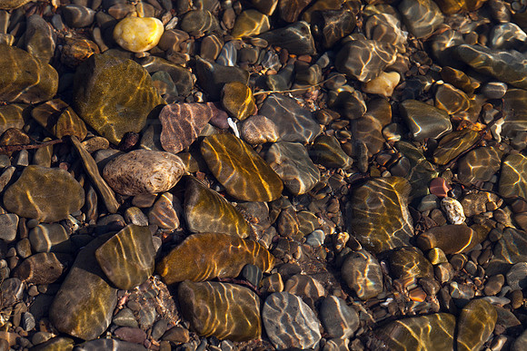 Pebbles under Water_8570