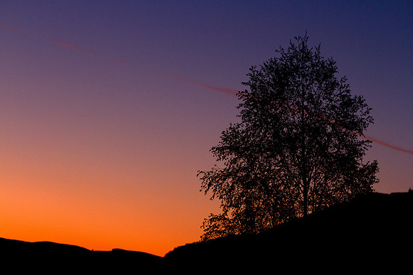 Strike at Dawn_0002-7D1