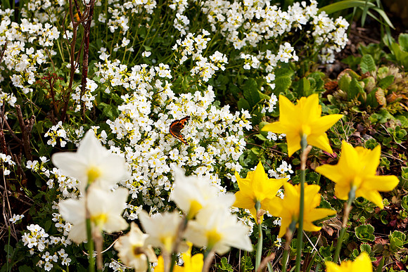Easter Parade_8773- 5D11