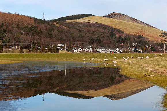 Reflections of Lee Pen-8434