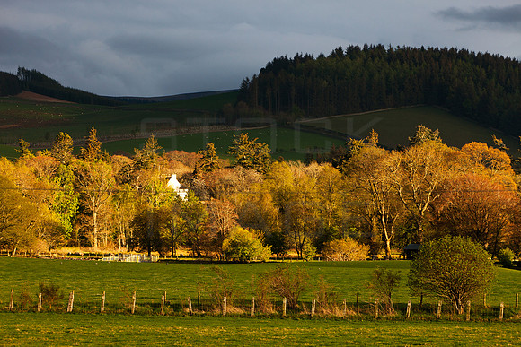 The Light of Traquair_9016- 7D