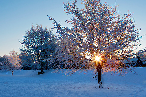 Hot and Cold_4853
