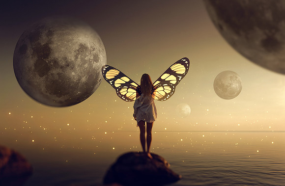 Butterfly Girl_comp