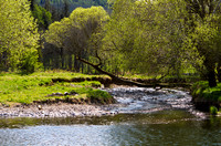 Quair Water meets River Tweed_0004- 7D