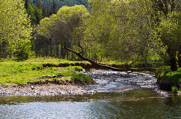 Quair Water meets River Tweed_0004- 7D