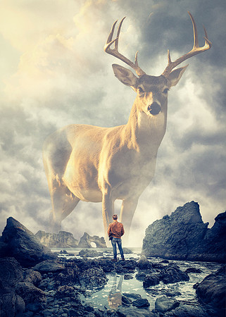 majestic-spirit-animal_comp