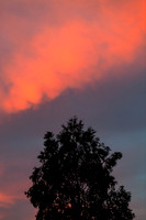 At Rest_9549- 5D