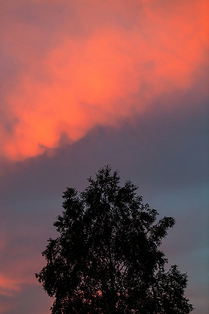 At Rest_9549- 5D