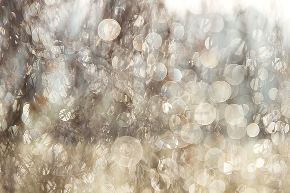 Bubbles of Light_4686