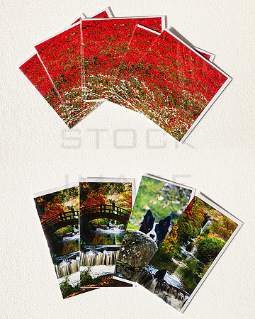 EXAMPLE sample printed cards