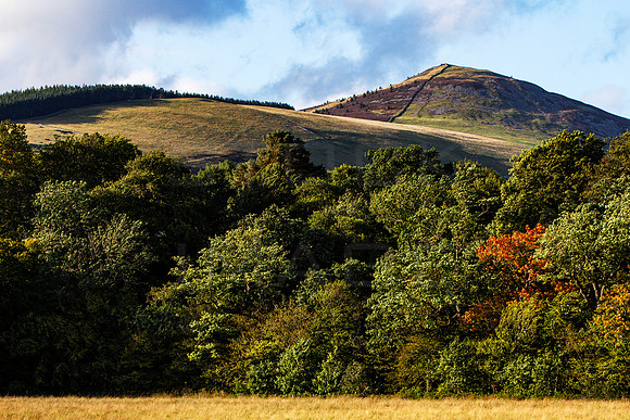 Lee Pen above Autumnal Trees_9921